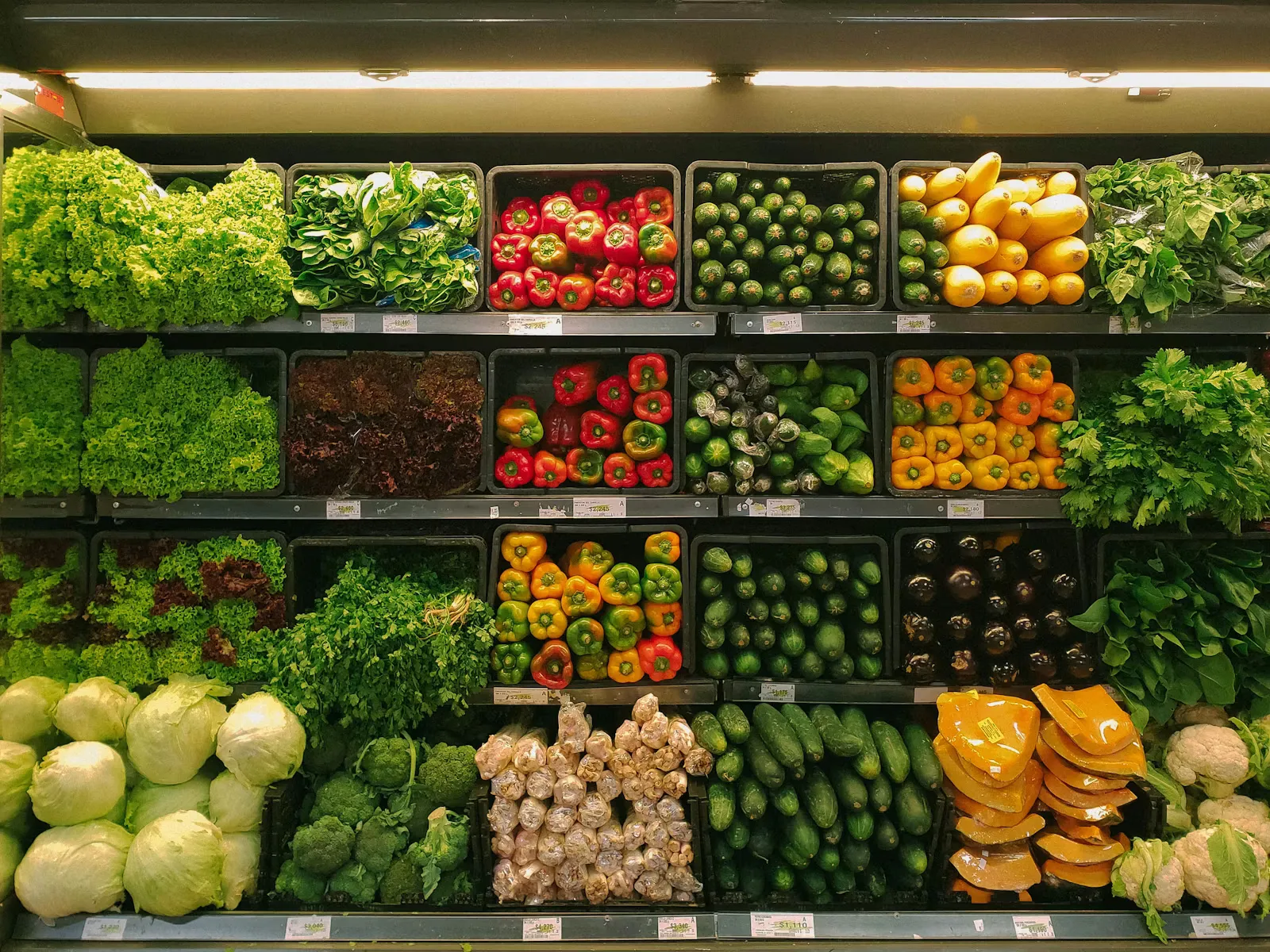 Average grocery bill in Australia: what households spend