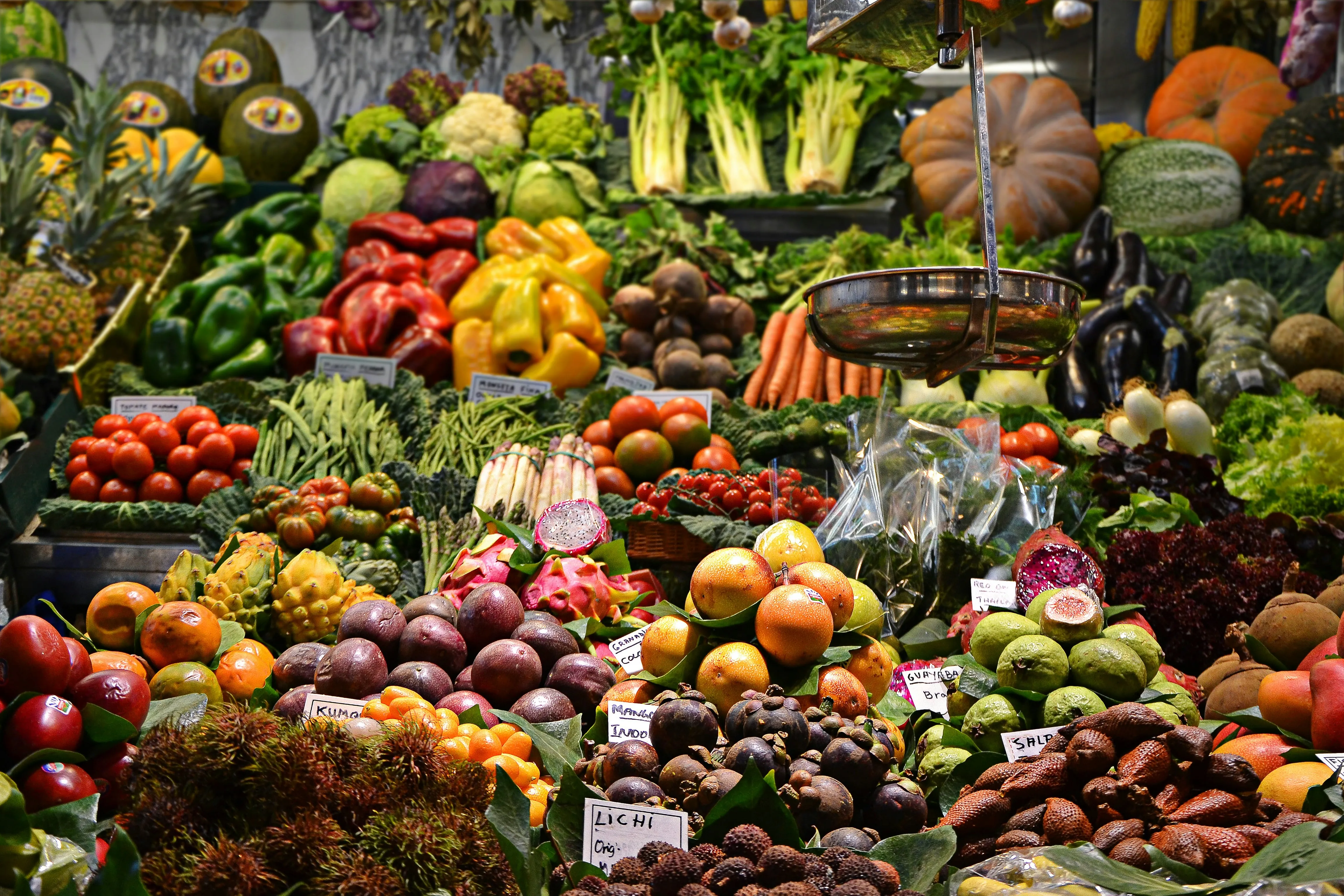 Understanding changes in the cost of living